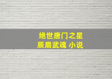 绝世唐门之星辰扇武魂 小说